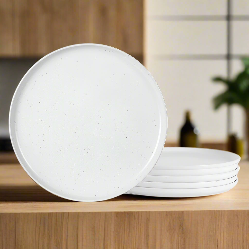 6-Piece Matte Ceramic Plate Set